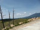 photo thumbnail #6