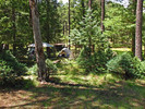 photo thumbnail #6