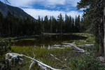 photo thumbnail #10