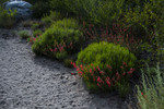 photo thumbnail #14