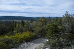 photo thumbnail #15