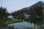 photo thumbnail #12