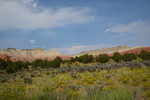 photo thumbnail #8