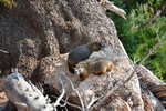 photo thumbnail #11