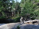 photo thumbnail #3