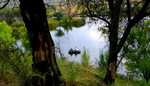 photo thumbnail #5