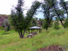 photo thumbnail #7