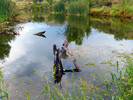 photo thumbnail #10