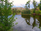 photo thumbnail #11