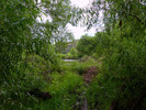 photo thumbnail #15