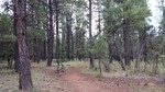 photo thumbnail #11