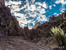 photo thumbnail #8