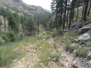 photo thumbnail #5