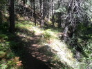 photo thumbnail #3