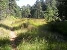 photo thumbnail #4