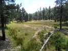 photo thumbnail #9