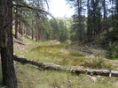 photo thumbnail #10