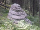photo thumbnail #11