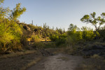 photo thumbnail #7