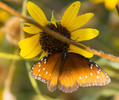 photo thumbnail #9