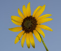 photo thumbnail #11