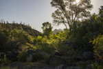 photo thumbnail #15
