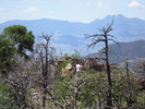 photo thumbnail #9