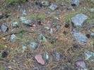 photo thumbnail #4