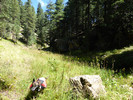photo thumbnail #4