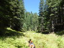 photo thumbnail #6
