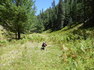 photo thumbnail #7