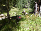 photo thumbnail #8