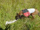 photo thumbnail #11