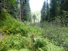 photo thumbnail #15