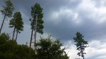 photo thumbnail #1