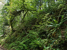photo thumbnail #10