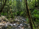 photo thumbnail #14