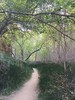 photo thumbnail #5