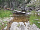 photo thumbnail #8