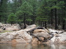 photo thumbnail #4
