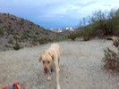 photo thumbnail #1