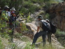 photo thumbnail #15