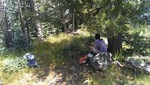 photo thumbnail #3