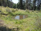 photo thumbnail #4