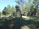 photo thumbnail #1
