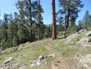 photo thumbnail #5