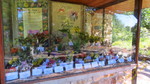 photo thumbnail #15
