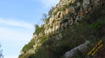 photo thumbnail #12