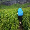 photo thumbnail #1