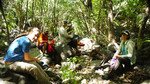 photo thumbnail #9